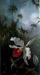 Martin Johnson Heade Two Hummingbirds Sweden oil painting art